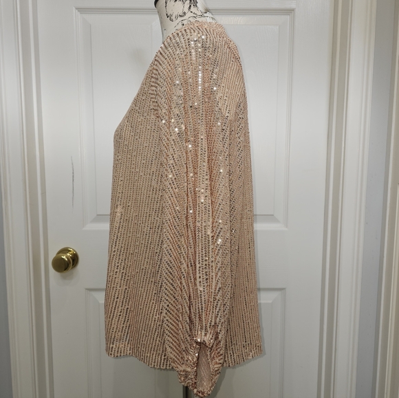 Vine & Love Sparkling Sequin V-Neck Top, Size Small, NWT - Picture 3 of 7